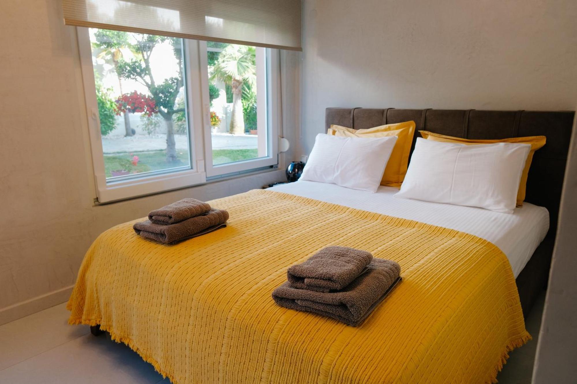 הוילה Nea Iraklitsa Dioni Luxury House מראה חיצוני תמונה